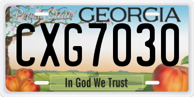 GA license plate CXG7030