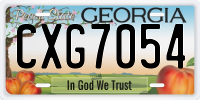 GA license plate CXG7054