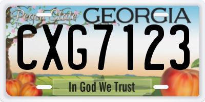 GA license plate CXG7123