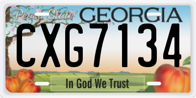 GA license plate CXG7134