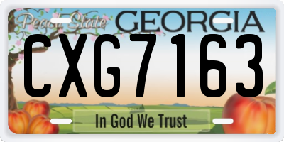 GA license plate CXG7163