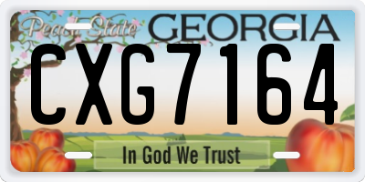 GA license plate CXG7164