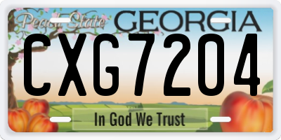 GA license plate CXG7204