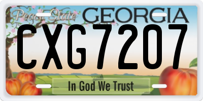 GA license plate CXG7207