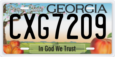 GA license plate CXG7209