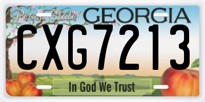 GA license plate CXG7213