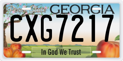 GA license plate CXG7217