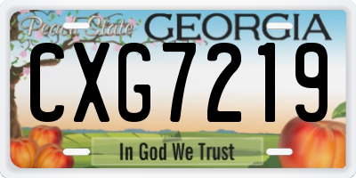 GA license plate CXG7219