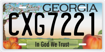 GA license plate CXG7221