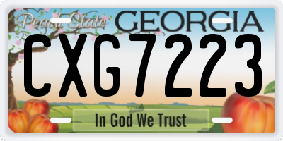 GA license plate CXG7223