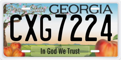 GA license plate CXG7224