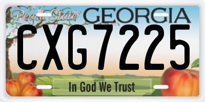 GA license plate CXG7225