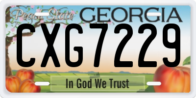 GA license plate CXG7229