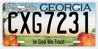 GA license plate CXG7231