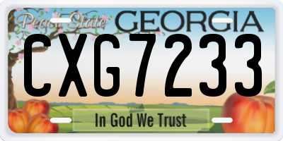 GA license plate CXG7233