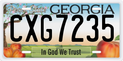 GA license plate CXG7235