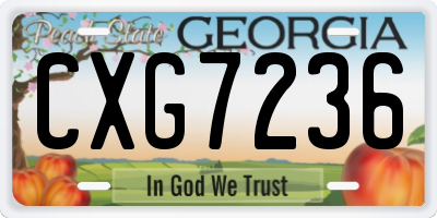 GA license plate CXG7236