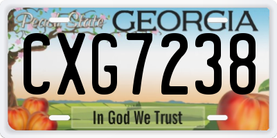 GA license plate CXG7238