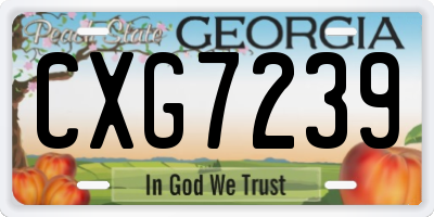 GA license plate CXG7239