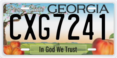 GA license plate CXG7241