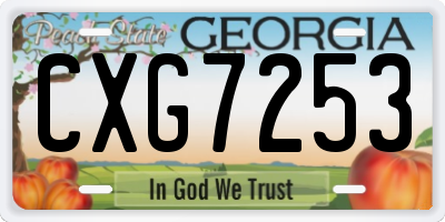 GA license plate CXG7253