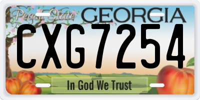 GA license plate CXG7254