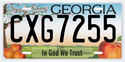 GA license plate CXG7255