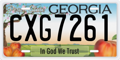 GA license plate CXG7261