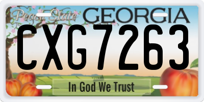 GA license plate CXG7263
