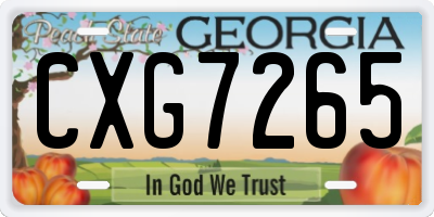GA license plate CXG7265