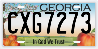 GA license plate CXG7273
