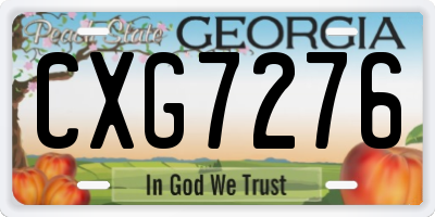 GA license plate CXG7276