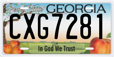 GA license plate CXG7281