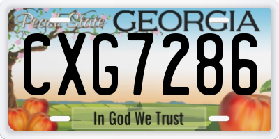 GA license plate CXG7286