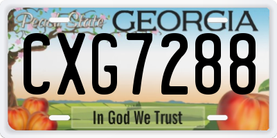 GA license plate CXG7288