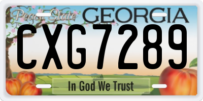 GA license plate CXG7289