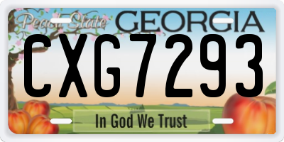 GA license plate CXG7293