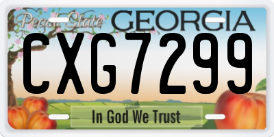 GA license plate CXG7299