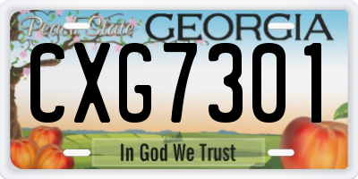 GA license plate CXG7301