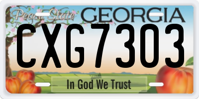 GA license plate CXG7303