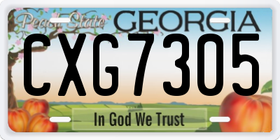 GA license plate CXG7305