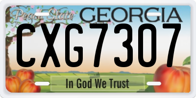 GA license plate CXG7307