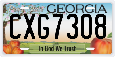 GA license plate CXG7308