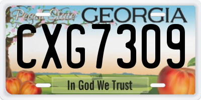 GA license plate CXG7309