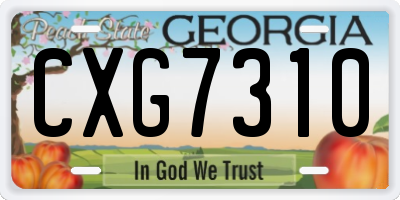 GA license plate CXG7310