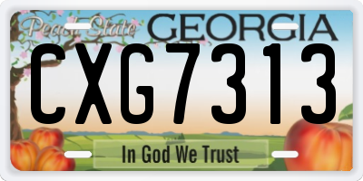 GA license plate CXG7313