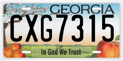 GA license plate CXG7315