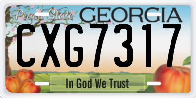 GA license plate CXG7317