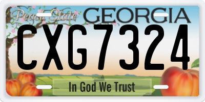 GA license plate CXG7324