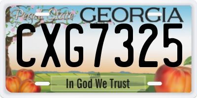 GA license plate CXG7325